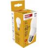 EMOS ZL5F43 LED žárovka Basic A60 / E27 / 9,4 W (60 W) / 806 lm / neutrální bílá