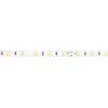 Panlux PN13100011K LED strip WW 12V 4,8W 10mm IP20 - 2835 disc 25m