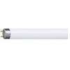 Fluorescent tube t8 TL-D 36W 6500°K