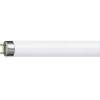 Fluorescent tubes T8 G13 choice of variants length W and colour of light