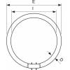 Philips MASTER TL5 Circular 40W/840 2GX13 circular fluorescent lamp