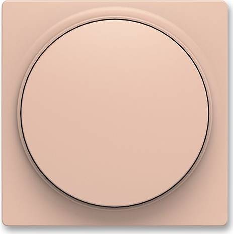 ABDECKUNG FÜR DIMMER DREHBAR 3294T-A00123 242