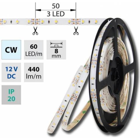 LED pás SMD3528 CW, 120LED/m, IP20, 5m