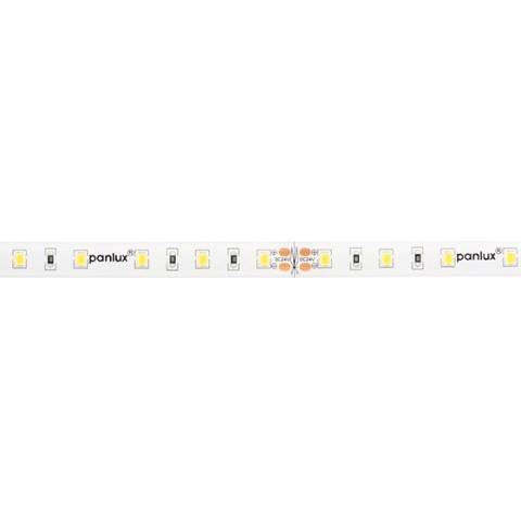 Panlux PN13200008K LED pás CW 24V 14,4W 10mm IP20 - 2835 kotúč 25m