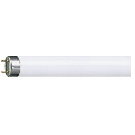 Fluorescent tube t8 TL-D 18W 4000°K Philips
