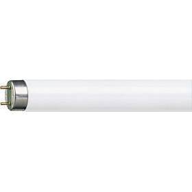 Fluorescent tubes T8 G13 choice of variants length W and colour of light