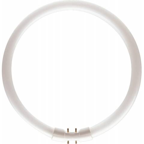 Philips MASTER TL5 Circular 40W/840 2GX13 circular fluorescent lamp